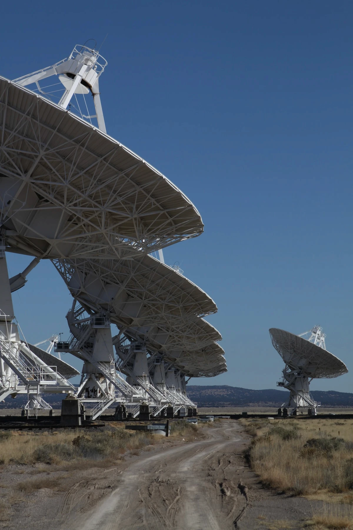 A row of large white radio telescopes pointing skyward, aligned on either side of a dirt road leading towards the horizon under a clear blue sky. The foreground shows dry grassland, while the background hints at a flat landscape with distant mountains.